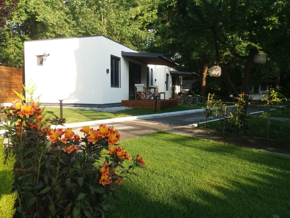 Gkaras Campsite&Apartments Leptokarya  Exterior foto